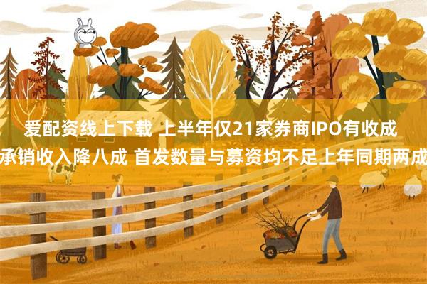 爱配资线上下载 上半年仅21家券商IPO有收成 承销收入降八成 首发数量与募资均不足上年同期两成