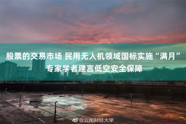 股票的交易市场 民用无人机领域国标实施“满月” 专家学者建言低空安全保障