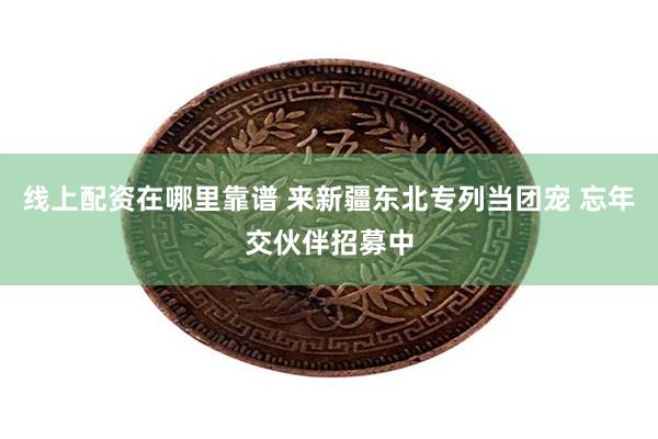 线上配资在哪里靠谱 来新疆东北专列当团宠 忘年交伙伴招募中