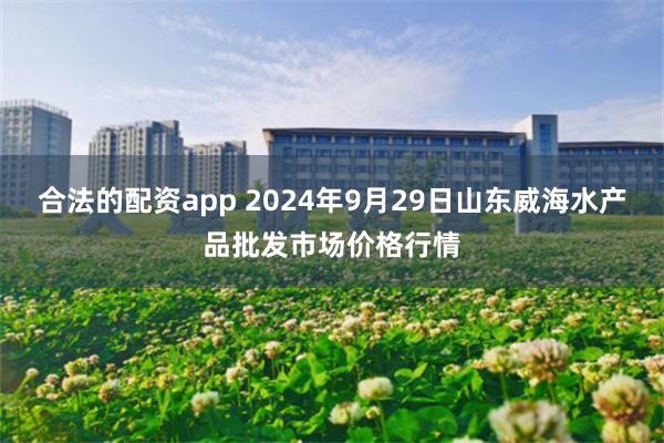 合法的配资app 2024年9月29日山东威海水产品批发市场价格行情