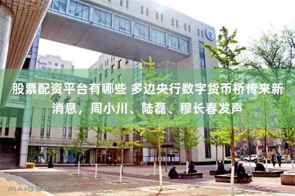 股票配资平台有哪些 多边央行数字货币桥传来新消息，周小川、陆磊、穆长春发声