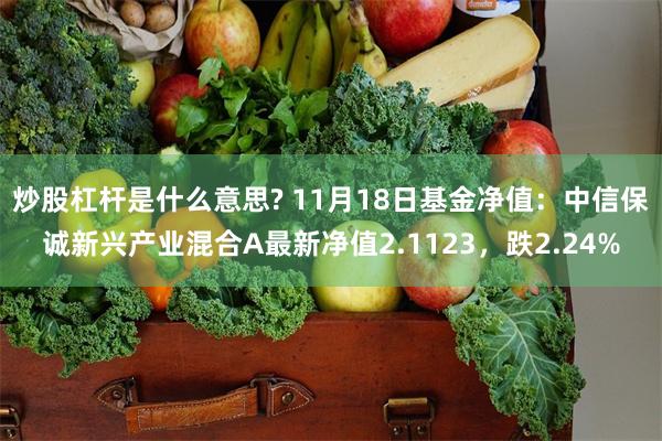 炒股杠杆是什么意思? 11月18日基金净值：中信保诚新兴产业混合A最新净值2.1123，跌2.24%