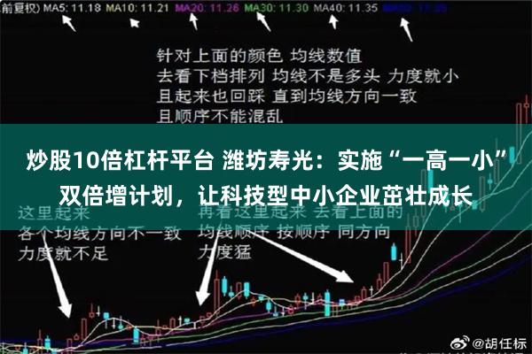 炒股10倍杠杆平台 潍坊寿光：实施“一高一小”双倍增计划，让科技型中小企业茁壮成长