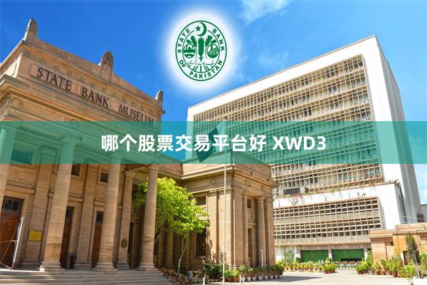 哪个股票交易平台好 XWD3