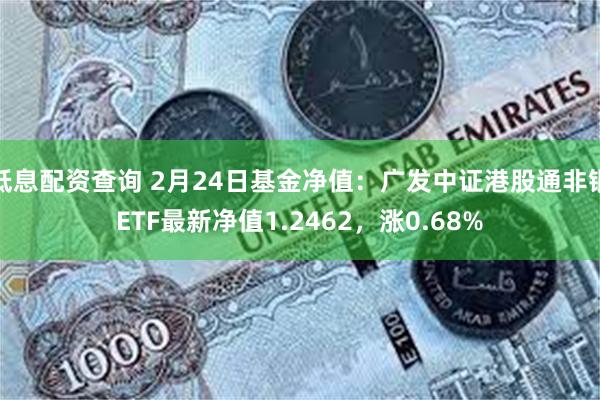 低息配资查询 2月24日基金净值：广发中证港股通非银ETF最新净值1.2462，涨0.68%