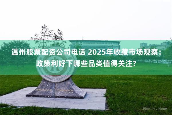 温州股票配资公司电话 2025年收藏市场观察：政策利好下哪些品类值得关注?